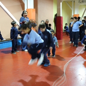 Día de la Actividad Física